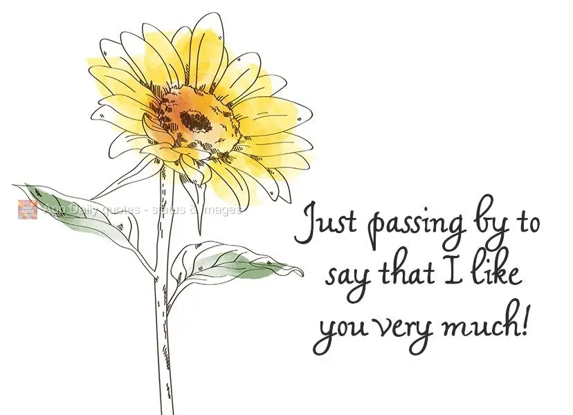 Just passing by to say that I like you very much!