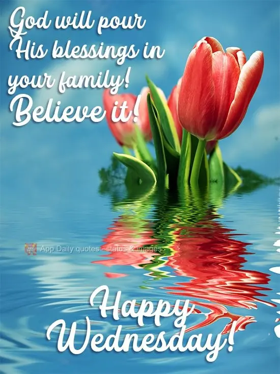 Deus vai derramar suas bênçãos sobre toda sua família. Acredite! 
 Feliz Quarta-feira!