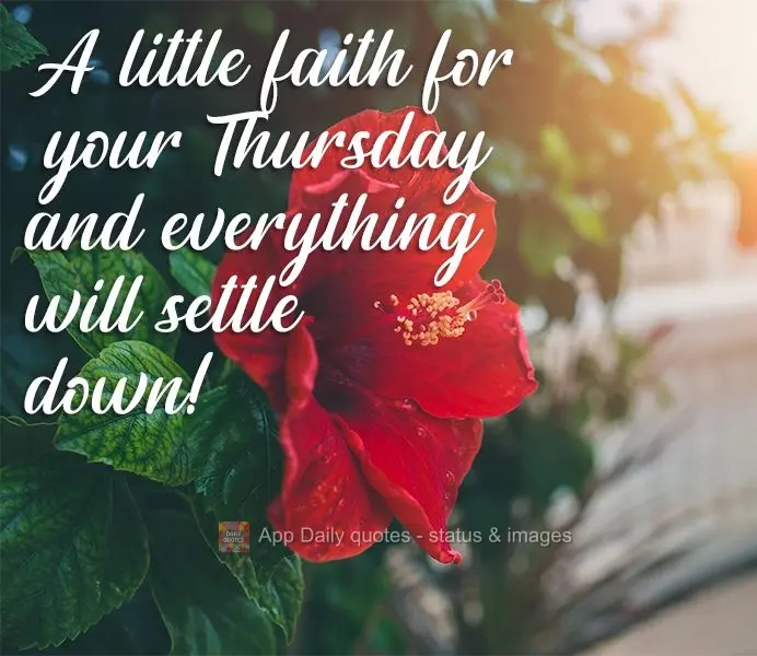 A little faith for your Thursday and everything will settle down!