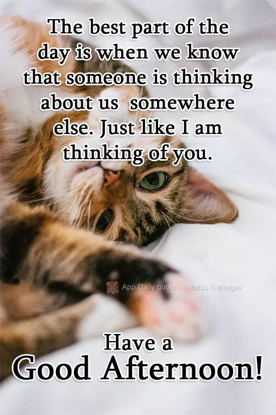 A melhor parte do dia é quando a gente sabe que alguém em algum lugar está pensando em nós. Assim como estou pensando em você.  Tenha uma Boa Tarde!...
