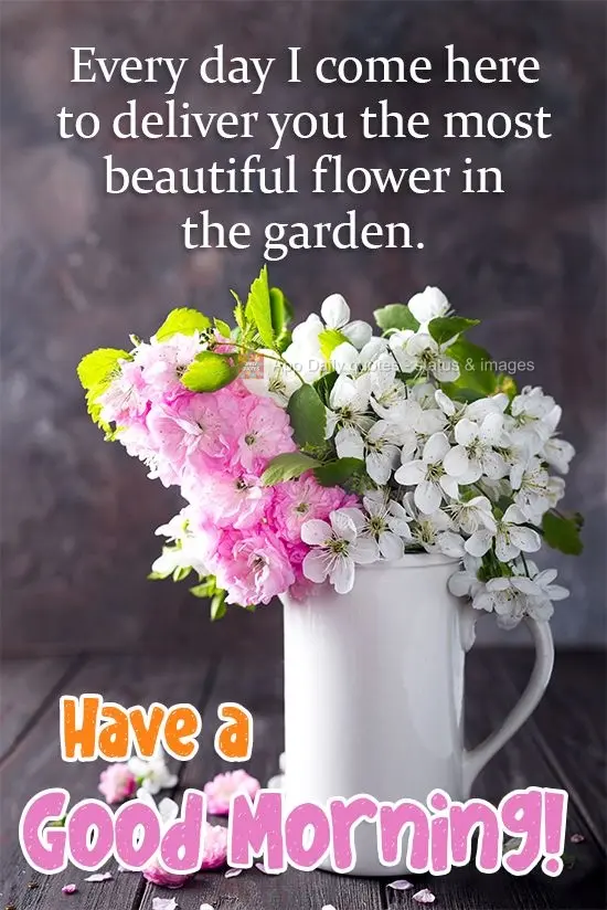 Todos os dias eu venho aqui para lhe entregar a flor mais bela do jardim. 
 Tenha um Bom Dia!