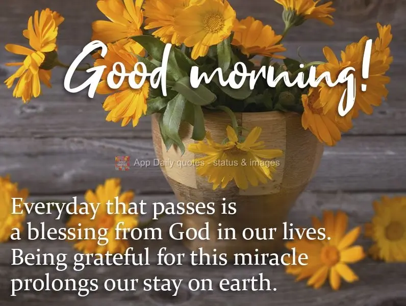 Every day that passes is a blessing from God in our lives. Being grateful for this miracle prolongs our stay on earth. Good morning!