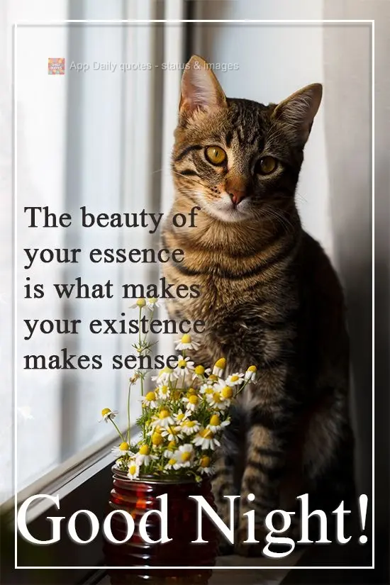 A beleza da sua essência é o que faz dar sentido a sua existência. 
 Boa Noite!