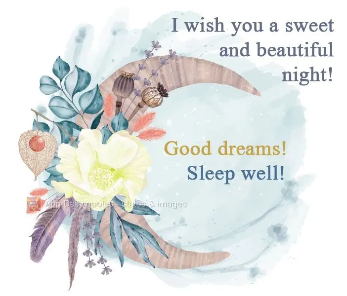 Desejo a você uma doce e linda Noite! Bons sonhos! Durma bem!

