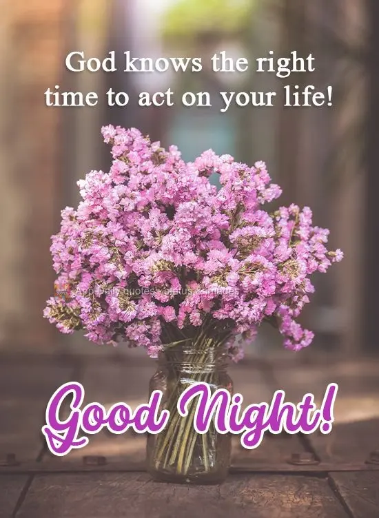 Deus sabe a hora certa de agir sobre sua vida!  Boa Noite!