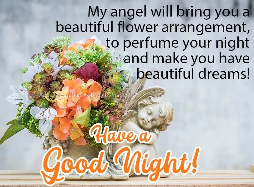 Meu anjo vai levar até você, um belo arranjo de flor, para perfumar sua noite, e te fazer ter lindos sonhos!  Tenha uma Boa Noite!