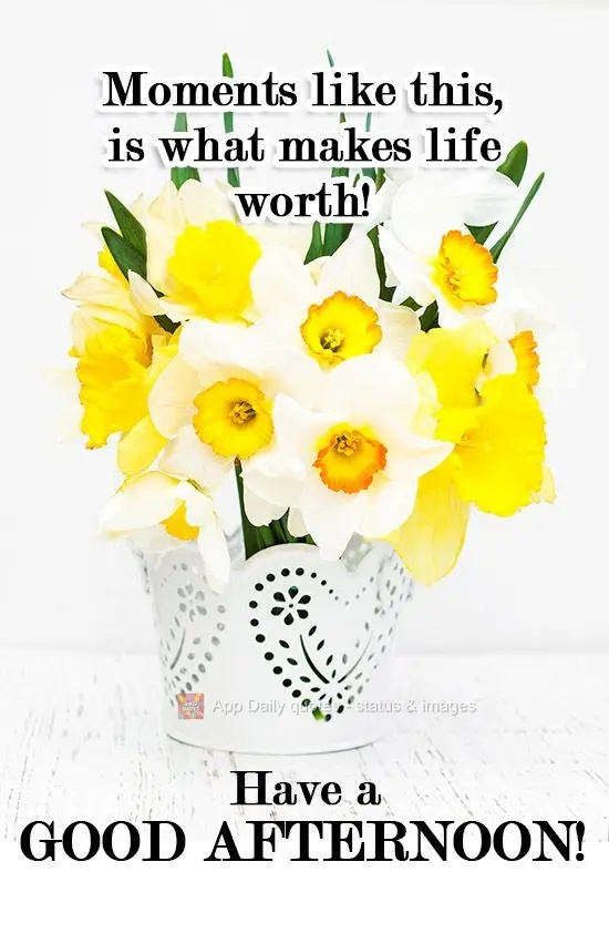 Momentos como esse, é o que faz a vida valer à pena!
 Tenha uma Boa Tarde!