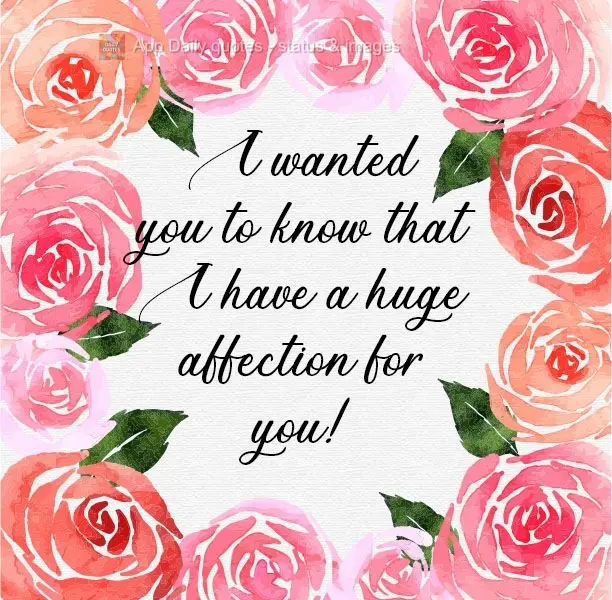 Queria que soubesse que tenho por você um carinho imenso!
