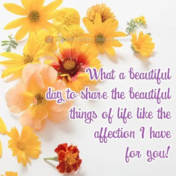 What a beautiful day to share the beautiful things of life, like the affection I feel for you!