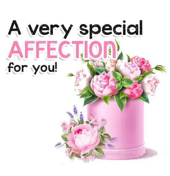 Um carinho todo especial para você!
