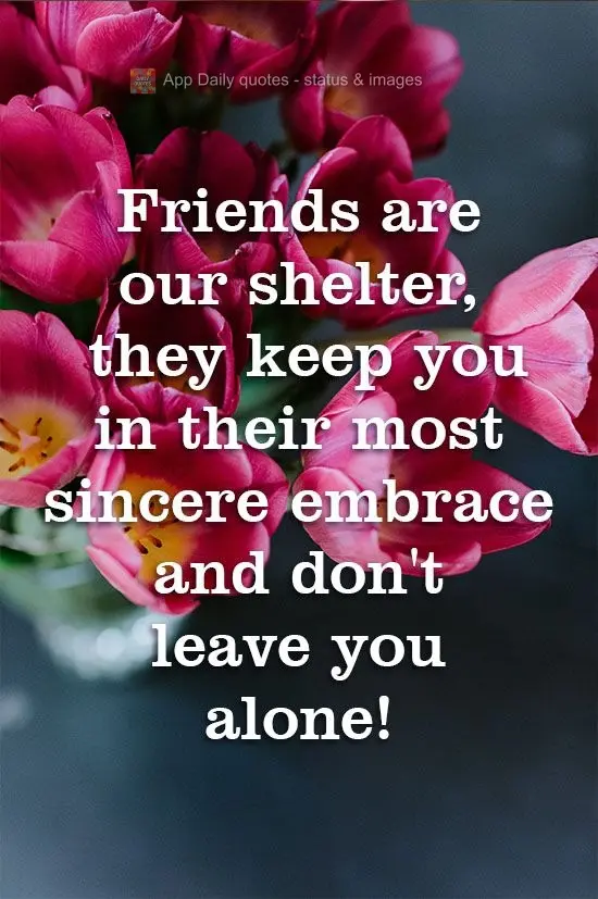 Friends are our shelter, they keep you in their most sincere embrace and don't leave you alone!