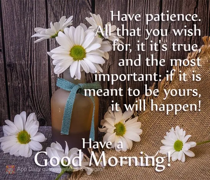 Tenha paciência. Tudo aquilo que você deseja, se for verdadeiro, e, o mais importante, se for para ser seu, acontecerá! 
 Tenha um Bom Dia!