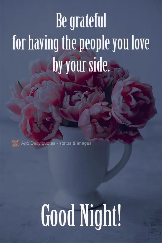 Seja grato por ter as pessoas que você ama ao seu lado.  Boa Noite!