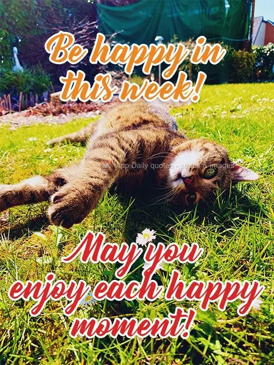 Be happy this week! May you enjoy each happy moment!