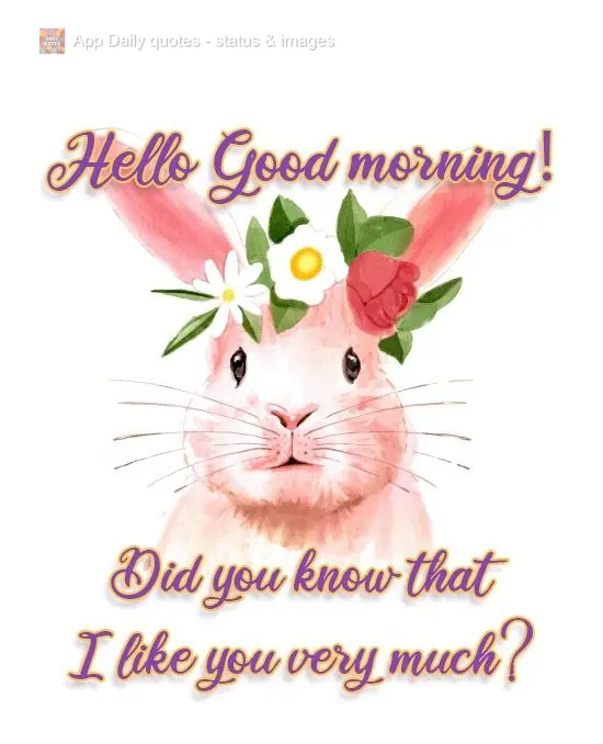 Hello, Good morning! Did you know that I like you very much?