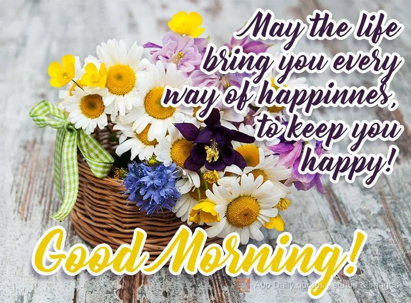 Que a vida lhe traga todas as formas de felicidade, para que você siga feliz! 
 Bom Dia!