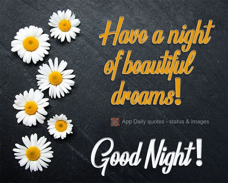 Have a night of beautiful dreams! Good Night!