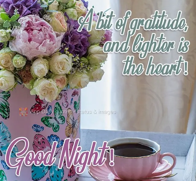 Um pouco de gratidão, e mais leve fica o coração! 
 Boa Noite!