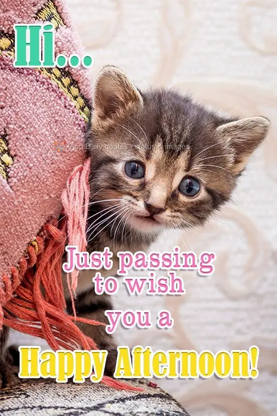 Hi... Just passing by to wish you a Happy Afternoon!