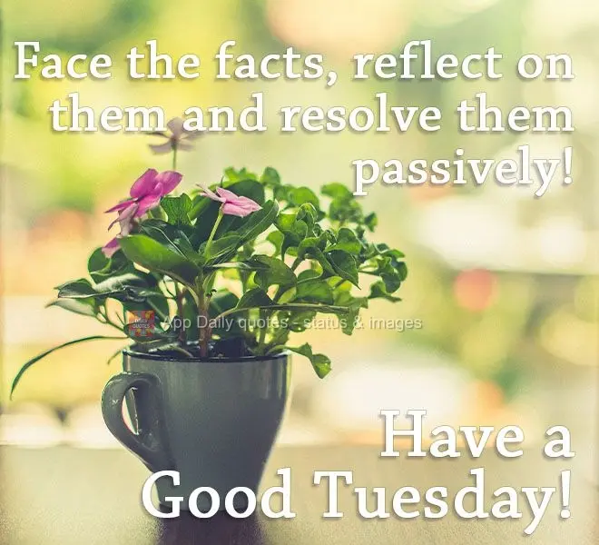 Encare os fatos, reflita sobre eles e os resolva passivamente! 
 Boa Terça-feira!