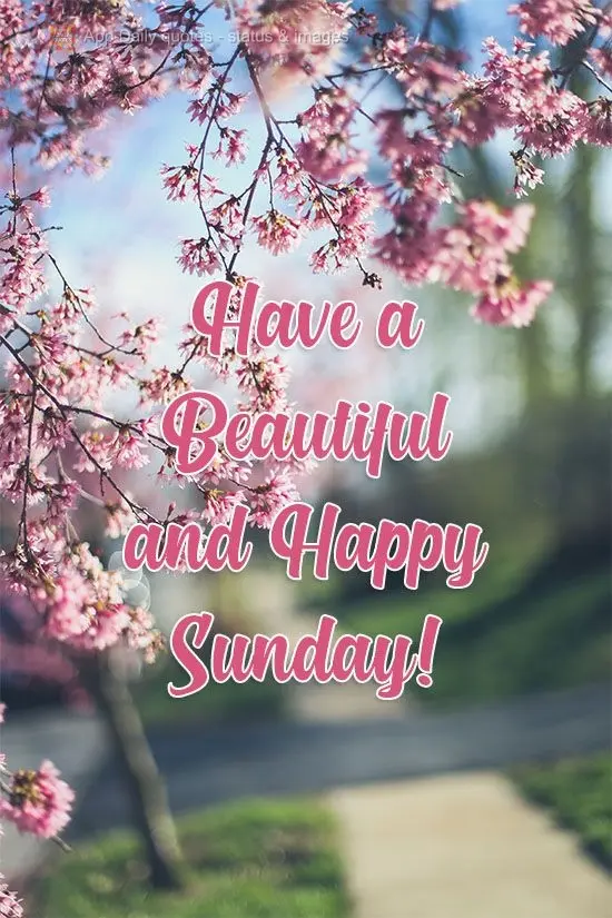 Have a Beautiful and Happy Sunday!