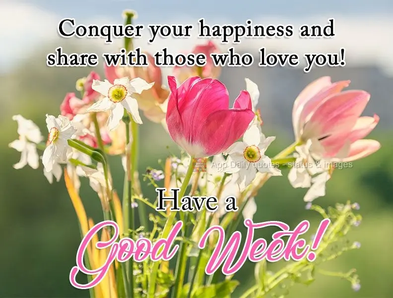 Conquiste sua felicidade e divida com quem te quer bem!
  Tenha uma Boa Semana!