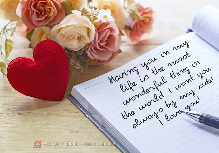 Ter você em minha vida é a coisa mais maravilhosa do mundo. Te quero sempre ao meu lado!
 Eu te amo!