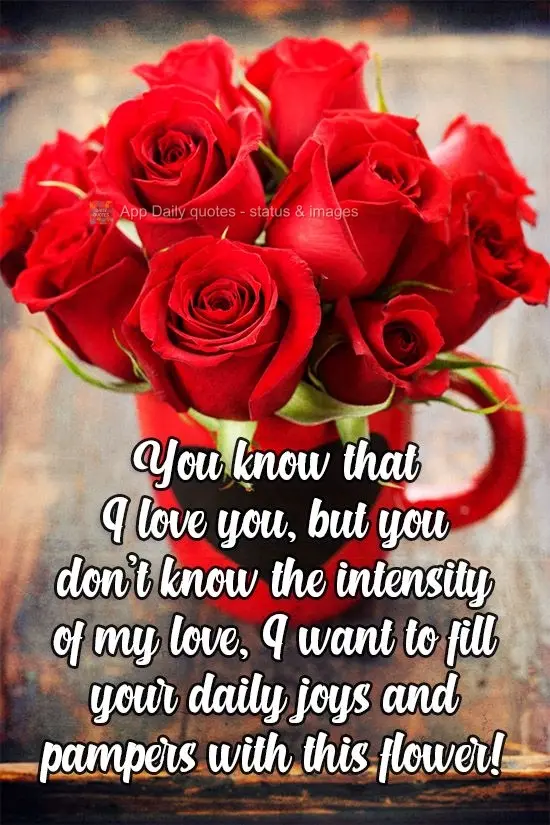 Você sabe que te amo, mas não sabe a intensidade do meu amor, quero te encher de alegrias diárias e mimos como essa flor!
