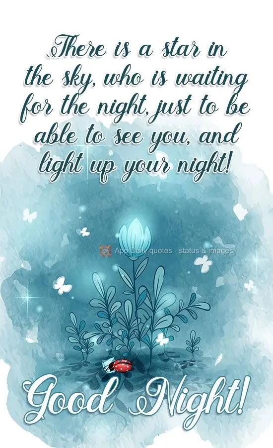 There is a star in the sky that is waiting for the night, just to be able to see you, and light up your night! Good Night!