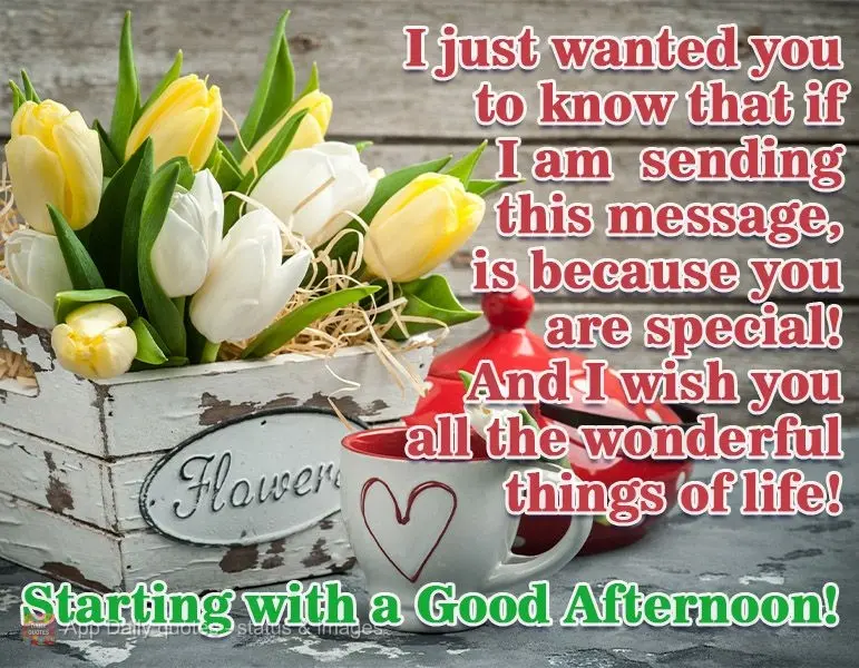 Só queria que soubesse que se estou te enviando esta mensagem, é porque você é especial! E que desejo a você todas as cosas maravilhosas da vida... ...