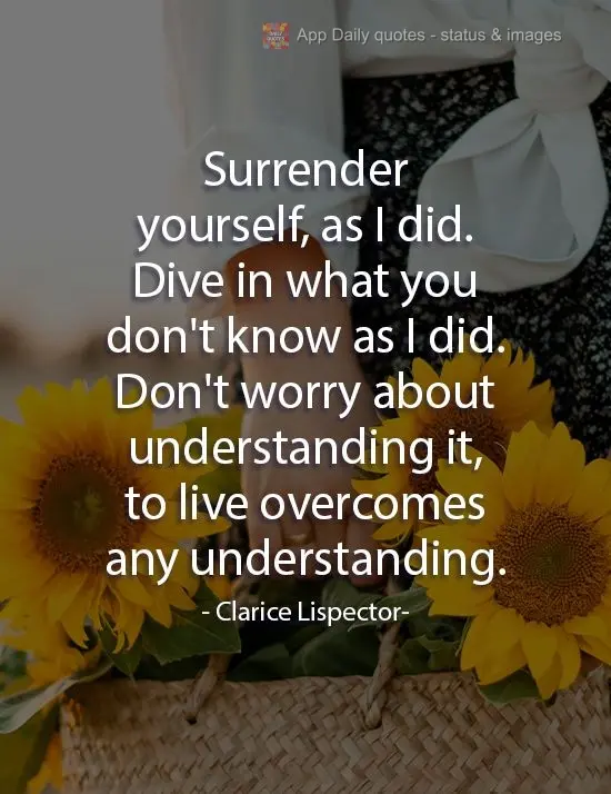 Surrender yourself, like I did. Dive into what you don't understand, as I did. 
Don't worry about understanding it, living goes beyond understanding. Cl...