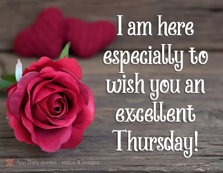 I am here especially to wish you an excellent Thursday!