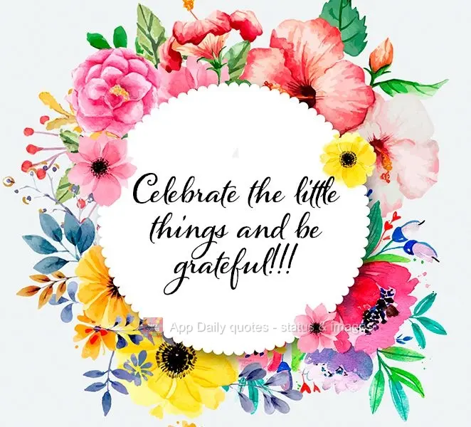 Celebre as pequenas coisas e seja grato!!! Autor Desconhecido