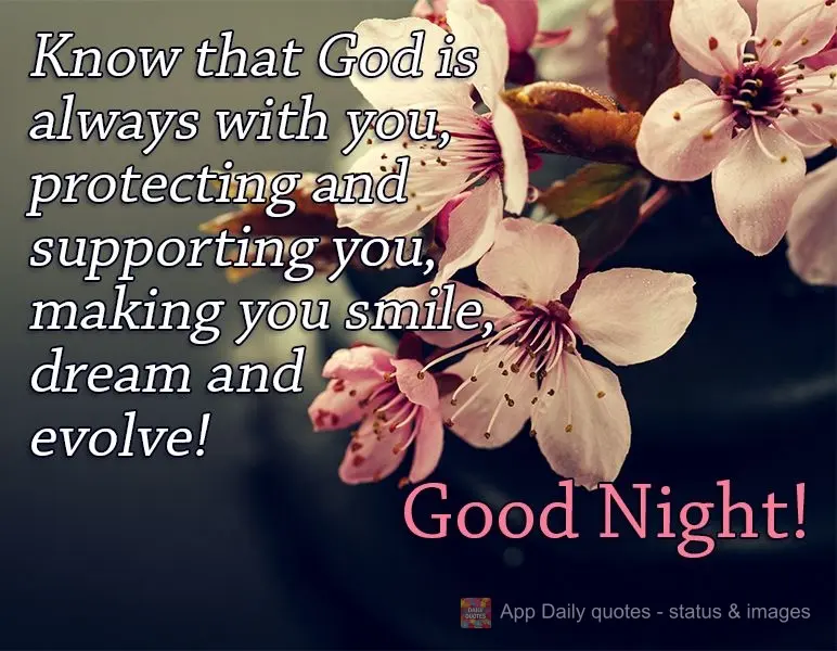 Know that God is always with you, protecting and supporting you, helping you to smile, dream and evolve! Good Night!