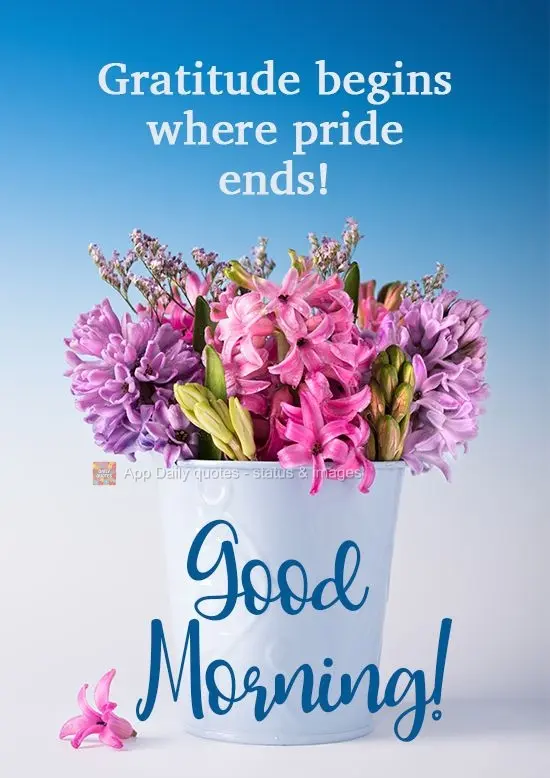 A gratidão começa onde o orgulho termina!  Bom Dia!