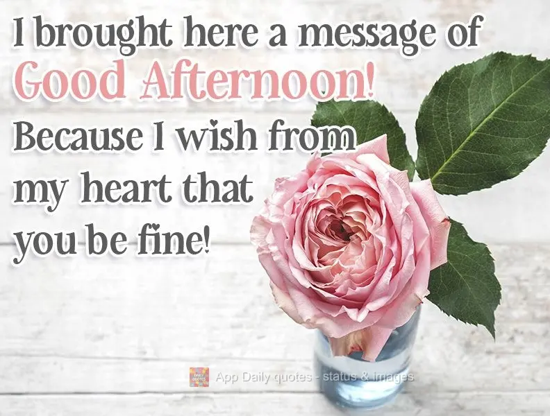 Te trouxe aqui uma mensagem de Boa tarde! Porque te desejo de coração que você fique bem!
