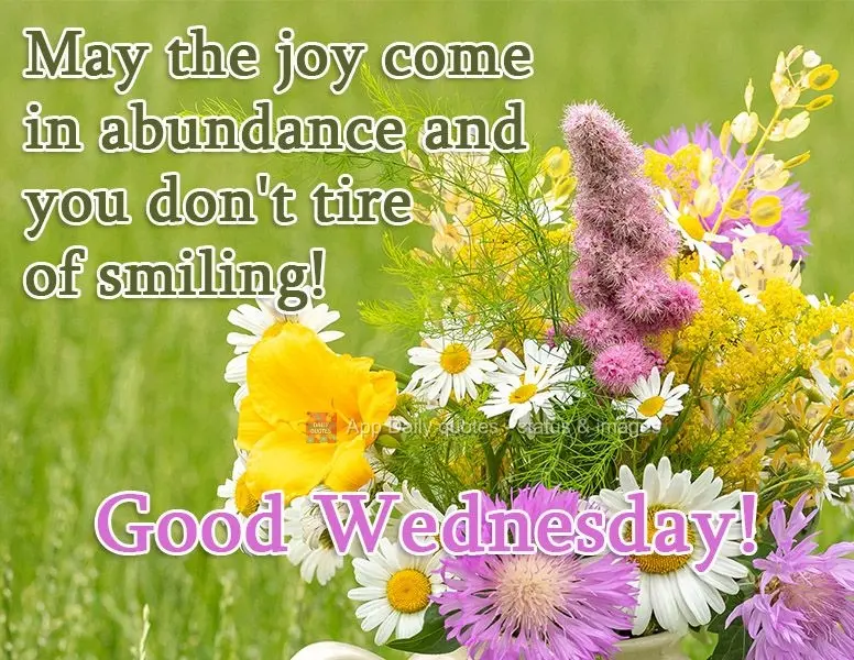 Que a alegria venha em abundância e que você não se canse de sorrir! 
 Boa Quarta-feira!