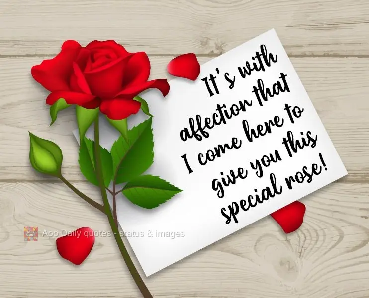 It's with affection that I come here to give you this special rose!