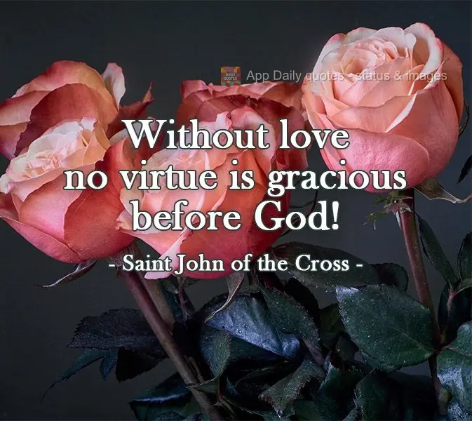 Sem amor nenhuma virtude é graciosa diante de Deus! 
 São João da Cruz