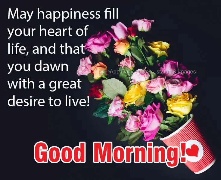 Que a felicidade encha seu coração de vida, e que você amanheça com muita vontade de viver! 
  Bom Dia!