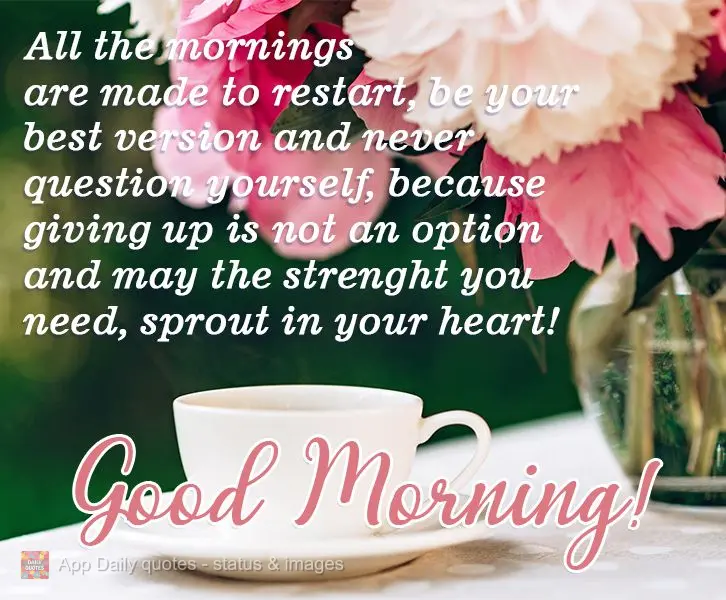 All mornings are made to begin anew. Be your best self, and never question your desires, because giving up is not an option. May the strength you need sp...