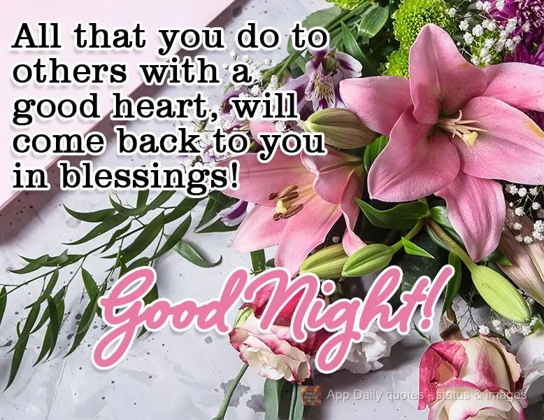 Tudo que você desejar aos outros de bom coração, voltará a ti em forma de bênçãos!  Boa Noite!