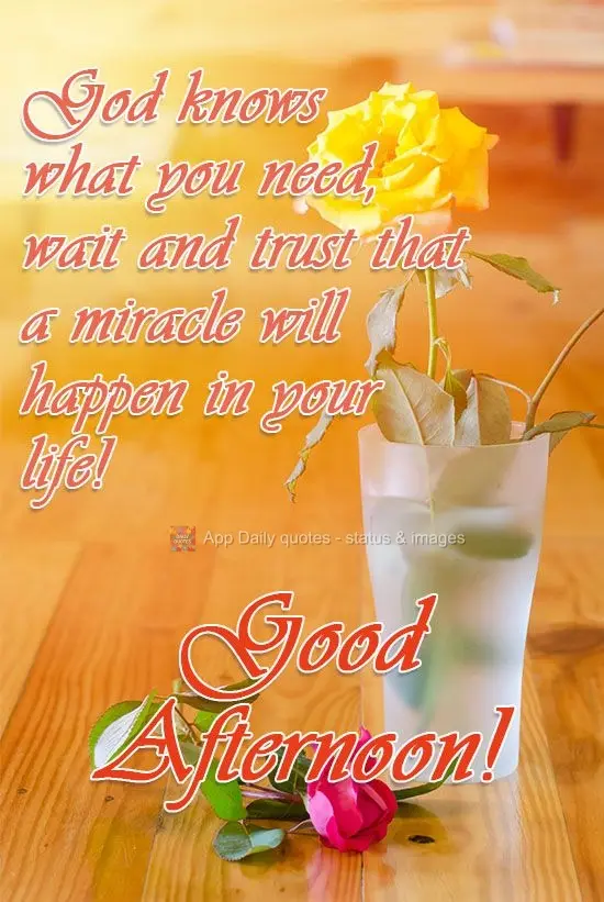 Deus sabe do que você precisa, aguarde e confie que um milagre irá acontecer na sua vida!  Boa Tarde! 