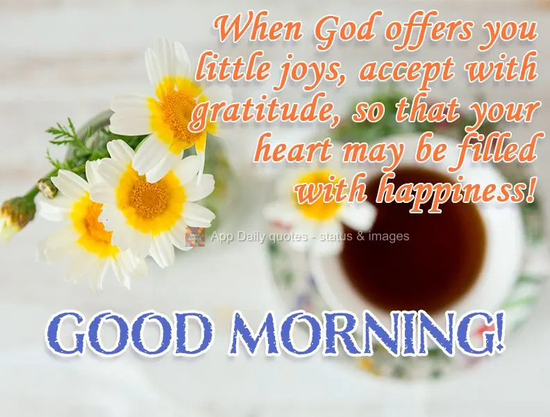 Quando Deus te oferecer pequenas alegrias, aceite com gratidão, para que se encha de felicidade seu coração!
  BOM DIA!