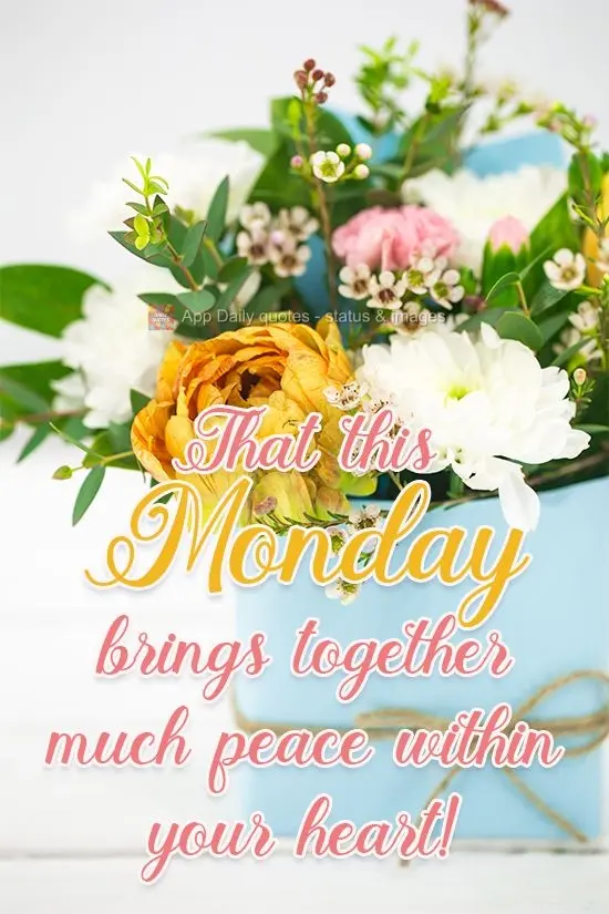 May this Monday gather much peace within your heart!