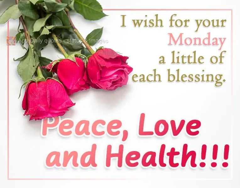 Desejo para sua Segunda-feira um pouco de cada bênção... PAZ, AMOR e SAÚDE!!!
