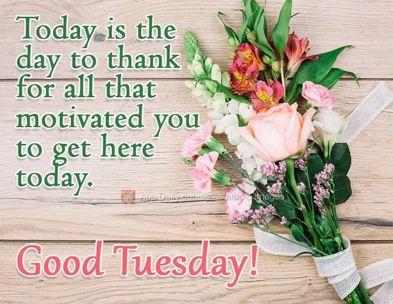 Today is the day to give thanks for everything that motivated you to get here today. Have a good Tuesday!
