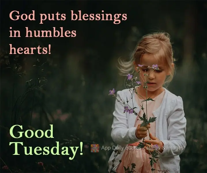 God puts blessings in humbles hearts! Good Tuesday!
