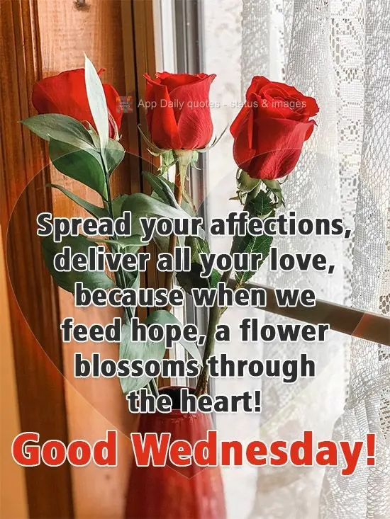 Espalhe seus carinhos, entregue todo o seu amor, porque quando a gente alimenta a esperança, do coração nasce uma flor! 
 Boa Quarta-feira!