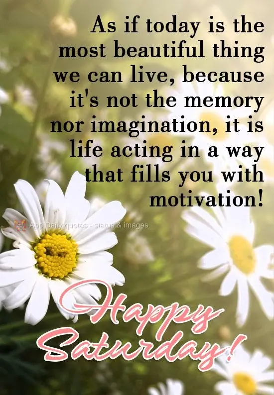 Viva como se o hoje fosse a coisa mais bela que podemos viver, porque não é memória nem imaginação, é a vida agindo de forma que te enche de motiva...